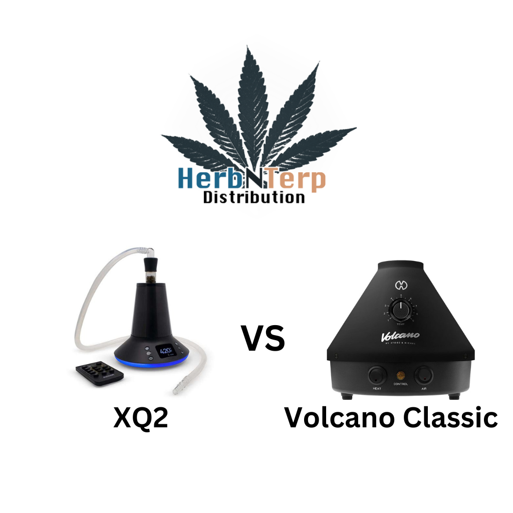 arizer xq2 vs volcano classic